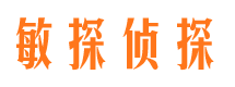 石嘴山市侦探公司